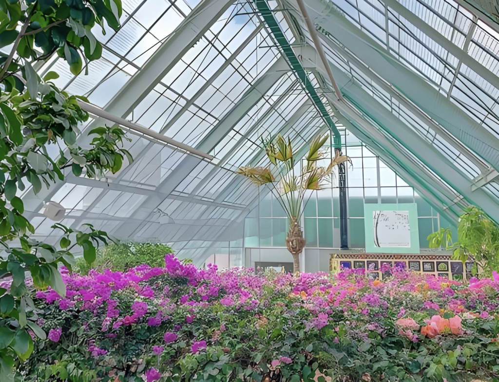 屏幕截图 2026 03 03 155327